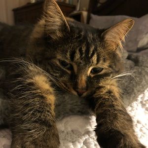 Meet your Posher, Sharon